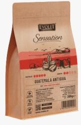 VEDDA Cafea Origini Guatemala Antigua EVOLET Cafea Boabe 200g Arabica 100%