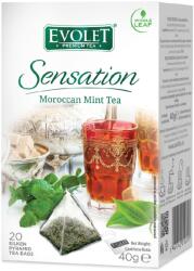 VEDDA Ceai Piramida Moroccan Mint Tea 20 plicuri piramida 40g