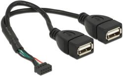 Delock USB 2.0-s csatlakozóhüvellyel ellátott kábel, 2, 00 mm, 10 tus > 2 x USB 2.0 A-típusú csatlako (84933) - dellaprint