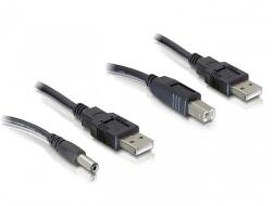 Delock kábelszett, 2db USB-A - DC + USB-B 30cm (82461)