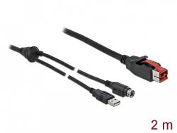 Delock PoweredUSB kábel apa 24 V > A-típusú USB apa + Mini-DIN 3 tűs apa 2 m, POS nyomtatókhoz és cs (85941)