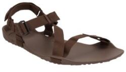 Xero Z-Trek II Men Sandale Brown (BRN) 47 EU