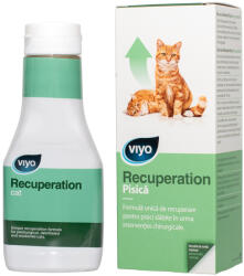 Viyo new Viyo Recuperation Cat
