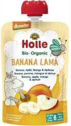 Holle Piure de banane mere, mango si caise pentru copii, +6luni, fara gluten bio 100g