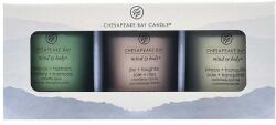 Chesapeake Bay Mind & Body 3 Small Tumbler Gift Set