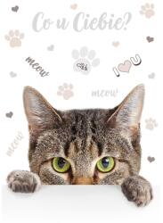 IRIS A4 irattartó mappa, különböző színekben és mintákkal, 230x315 mm (TA4_OG) - bestbyte