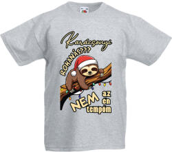 Fruit of the Loom Karácsonyi lajhár tempó - Gyerek Póló (868314)