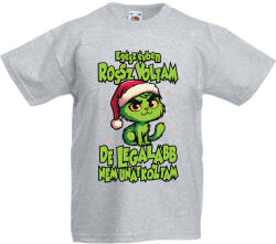 Fruit of the Loom Egész évben rossz voltam - Gyerek Póló (626813)