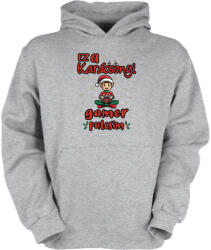 Fruit of the Loom Ez a karácsonyi gamer pulcsim (fiú) - Gyerek Kapucnis Pulóver (kgykpulcsi130)