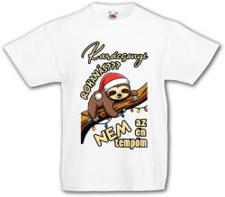 Fruit of the Loom Karácsonyi lajhár tempó - Gyerek Póló (267924)