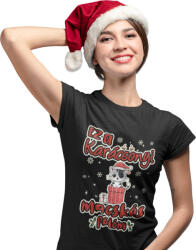  Ez a karácsonyi macskás pólóm - Karácsonyi Női Póló (kanoipolo63)
