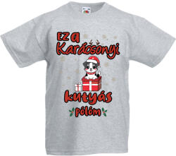 Fruit of the Loom Ez a karácsonyi kutyás pulcsim - Gyerek Póló (kgyepolok144)