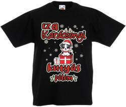 Fruit of the Loom Ez a karácsonyi kutyás pulcsim - Gyerek Póló (351096)