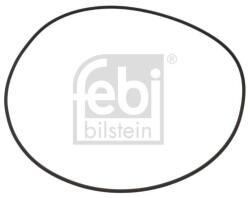 Febi Bilstein 100256 Inel de etansare, butuc roata