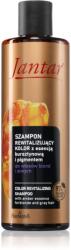 Farmona Natural Cosmetics Laboratory Jantar Amber Essence sampon revitalizant pentru părul blond şi gri 300 ml