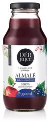DÉR Juice 100% almalé feketeribizlivel 0, 33L