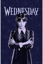  Wednesday polár pléd