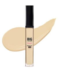 Etude Big Cover Skin Fit Concealer Pro