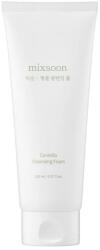 Mixsoon Centella Cleansing Foam, 150ml