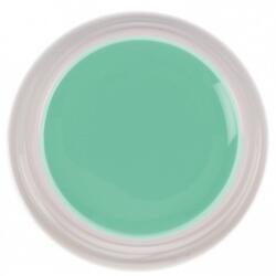 SELA Gel color Sela Painting 5g - 029