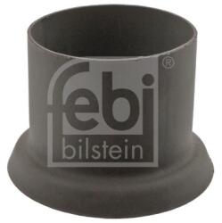 Febi Bilstein Colier furtun FEBI BILSTEIN 10820