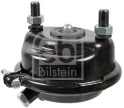 Febi Bilstein Cilindru receptor frana cu membrana FEBI BILSTEIN 173660 - piesa-auto