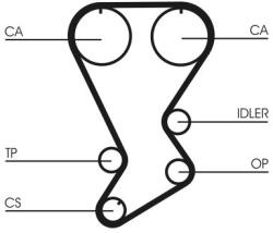 Continental Ctam Curea de distributie CONTINENTAL CTAM CT875 - piesa-auto