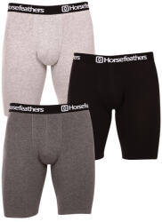 Horsefeathers 3PACK Férfi boxeralsó Horsefeathers Dynasty long (AM195D) XXL