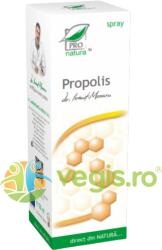 MEDICA Propolis Spray 100ml