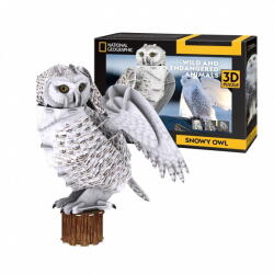 CubicFun Puzzle Cubic Fun Puzzles 3D Snowy Owl (306-DS1079H) Puzzle