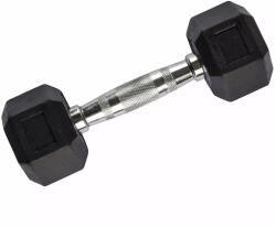 Robust Hatszögletű gumírozott fix súlyzó 1-50kg (DB6101_50)