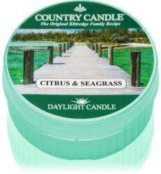 The Country Candle Company Citrus & Seagrass lumânare 42 g