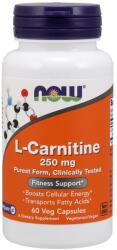NOW NOW L-Carnitine, 250mg - 60v kapszula