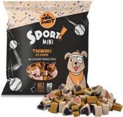 Mr. Bandit Recompense pentru caini Mr. Bandit SPORT MINI, mix, 150g