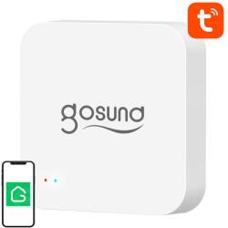 Gosund G2 Tuya