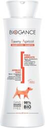 BIOGANCE Tawny Apricot sampon barackszínű szőrű kutyáknak (2 x 5 liter) 10 liter