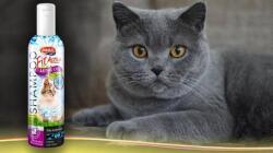 FitActive Panzi FitActive nercolajos sampon macskáknak 200 ml