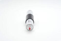 Bosch filtru combustibil BOSCH 0450905905 (0450905905)