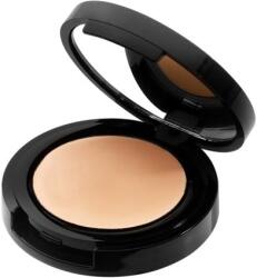 Radiant Cosmetics Machiaj Ten High Coverage Creamy Concealer Rosy Beige 3 g