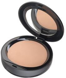 Radiant Professional Machiaj Ten Perfect Finish Compact Face Powder Skin Tone Pudra 10 g