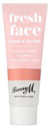 Barry M Fresh Face Cheek & Lip Tint 2 az 1-ben hidratáló és bőrélénkítő pirosító és rúzs 10 ml árnyék Peach Glow