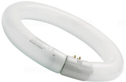 Sylvania 0001962 Körfénycső 22W T9 CIRCLINE PLUS 6500K hideg fehér, Ra80 FC/865 G10q, D=29mm (0001962)