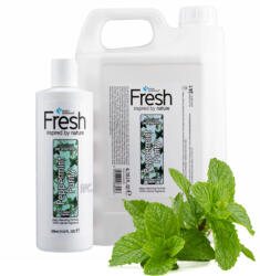 Groom Professional Fresh Peppermint Purify Sampon - borsmenta illat 4000ml (GP-842296)