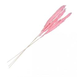 Chaks Iarbă de Pampas - Roz 100 - 135 cm 3 buc