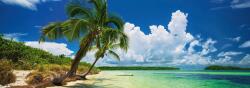 Heye - Puzzle Palm trees in paradise - 2 000 piese