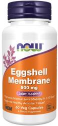 NOW NOW Eggshell Membrane, 500mg - 60v kapszula