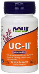 NOW NOW UC-II Undenatured Type II Collagen - 60 kapszula