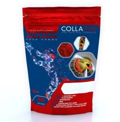 Collango Collagen Pour Homme 348g kékmálna - whey-protein