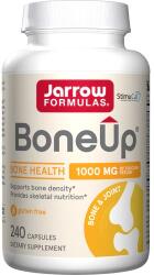 Jarrow Formulas BoneUp Capsules - 240 kapszula