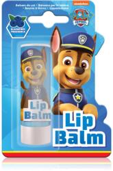 Spin Master Paw Patrol Lips ajakbalzsam gyermekeknek Blueberry 4, 4 g